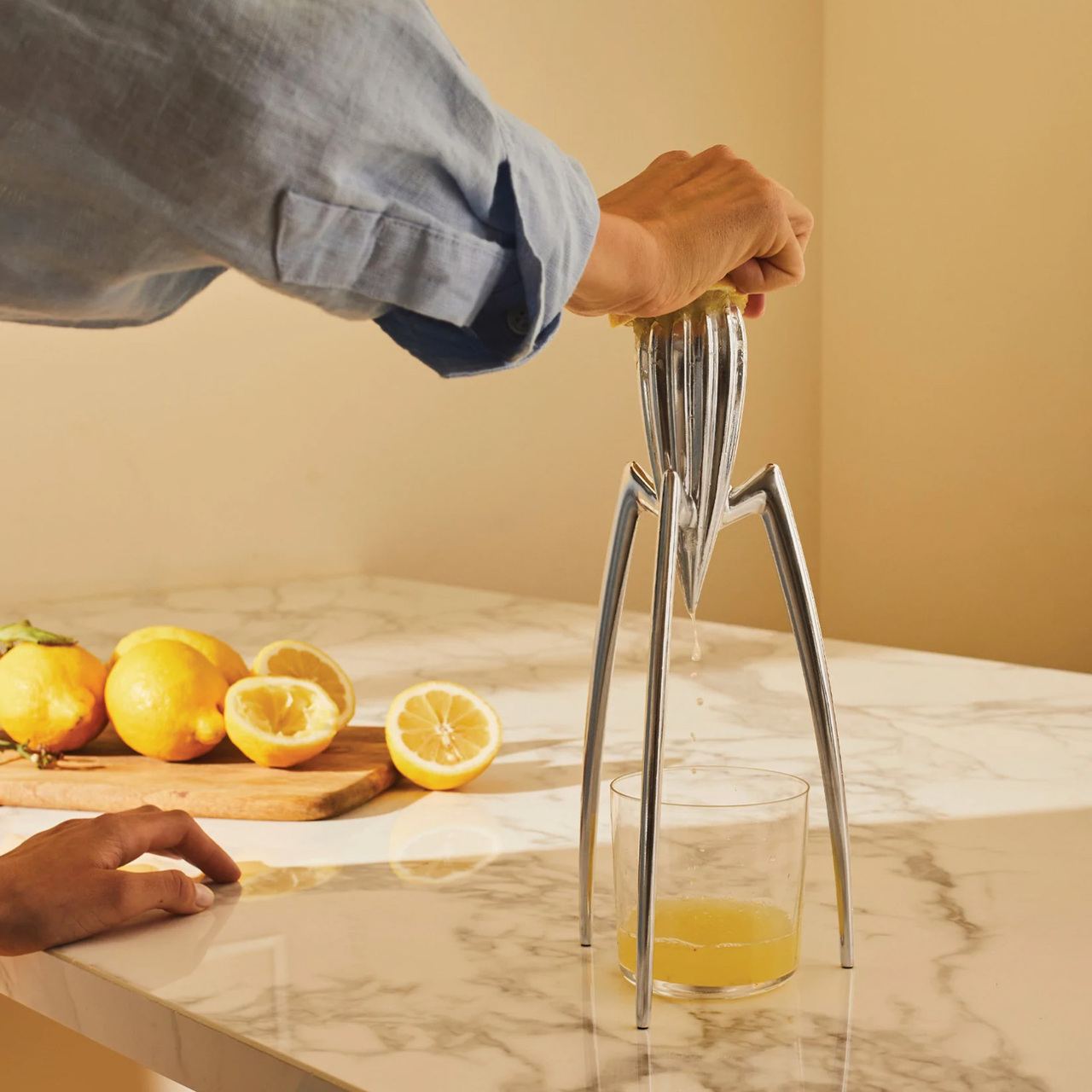 Alessi Juicy Salif Steel, Ø: 14 cm