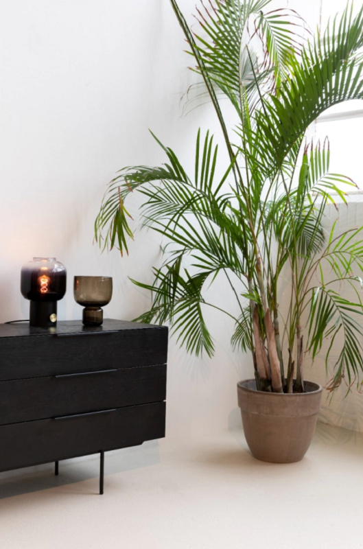 Zuiver Moody Table Lamp - Black