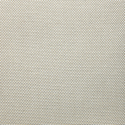 Ethimo Studios - Director's Chair  - Tissue  Acrylic Nature White