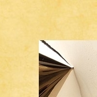 Opinion Ciatti Mammamia Punk Stuhl - Blattgold - Bolzen Gold