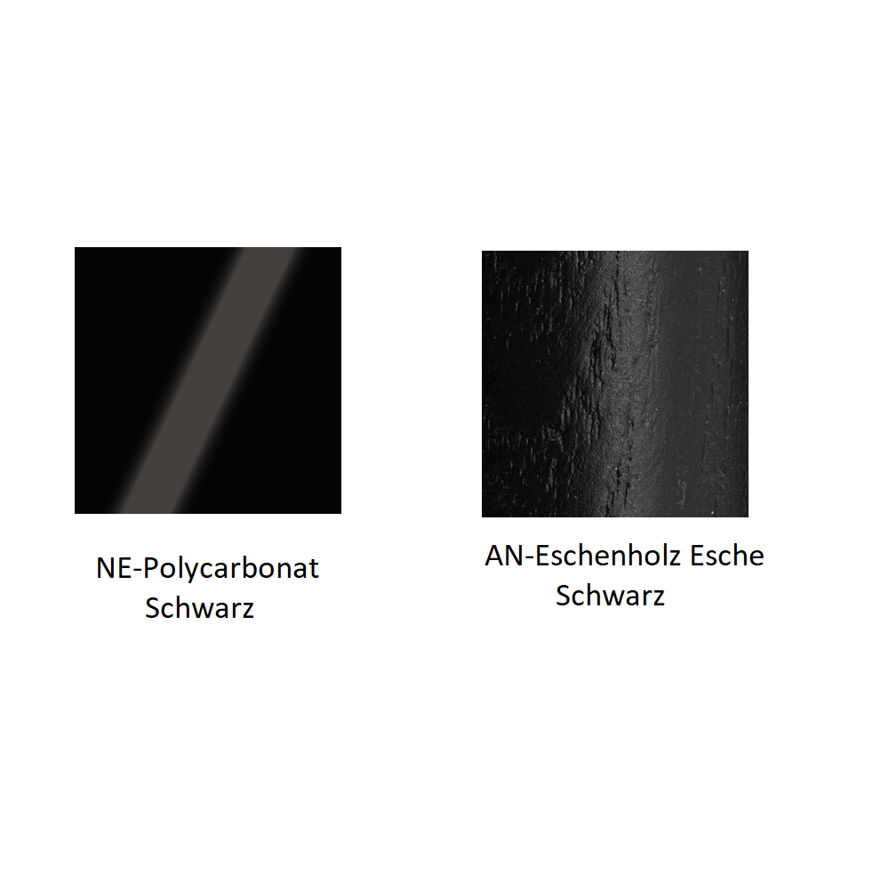 Pedrali Gliss 905 Stuhl-NE-Polycarbonat Schwarz-AN-Eschenholz Esche Schwarz