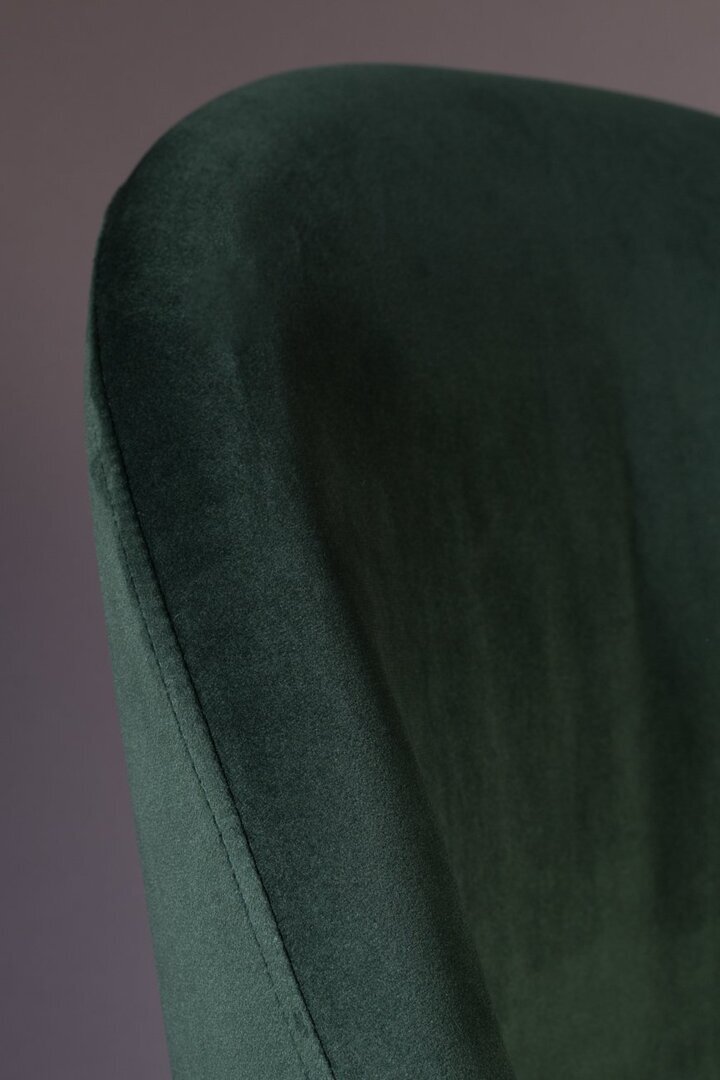 Dutchbone Barbara Chair - Green
