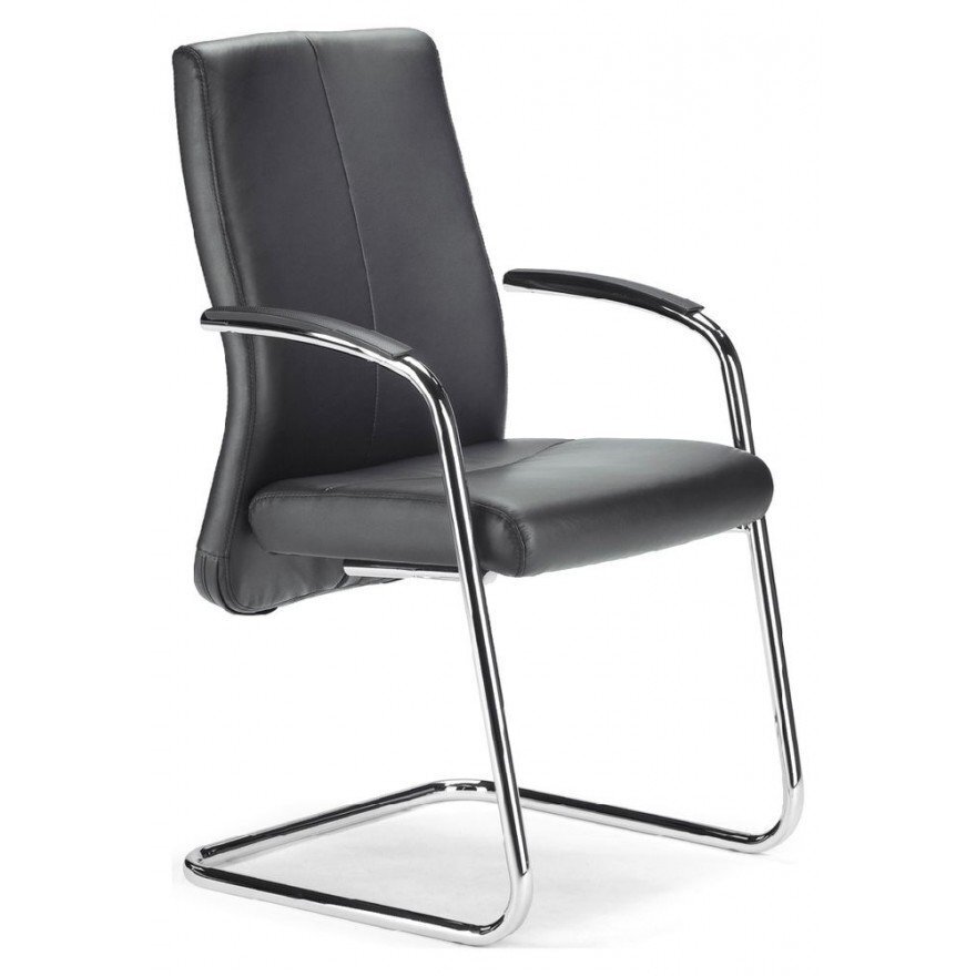 Rovo Besucherstuhl XL 5410 A Freischwinger