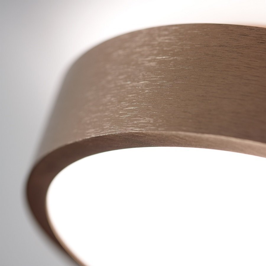 Light-Point Shadow 1 - Rose Gold