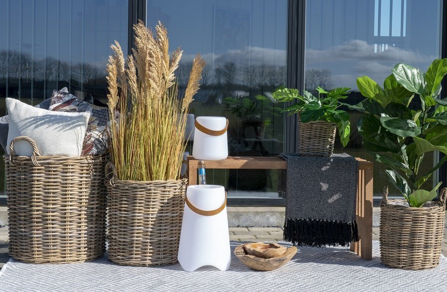 House N Sorghum Grass