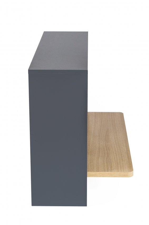 Morana Minyard Wall Desk