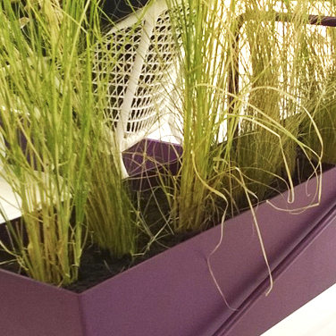 Langer 'Fermob'-Blumentopf Basket