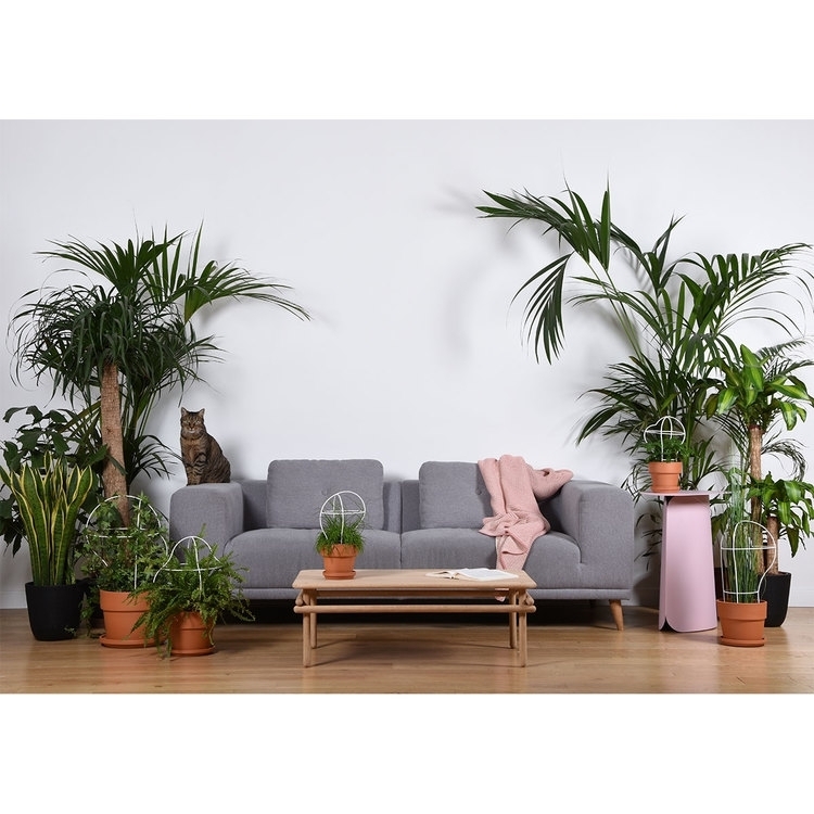 Eno Studio Woomar Coffee Table