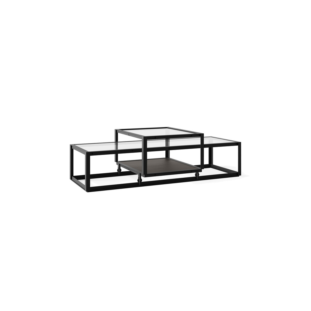 Pastoe Tangled Coffee Table Schwarz (RAL 9005) / Eichenfurnier dunkelbraun, Medium