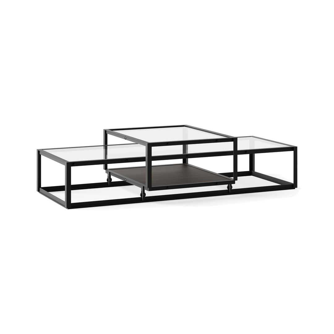 Pastoe Tangled Coffee Table Schwarz (RAL 9005) / Eichenfurnier dunkelbraun, Large