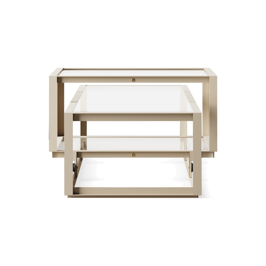 Pastoe Tangled Coffee Table Taupe (RAL 7006) / Klarglas, Large