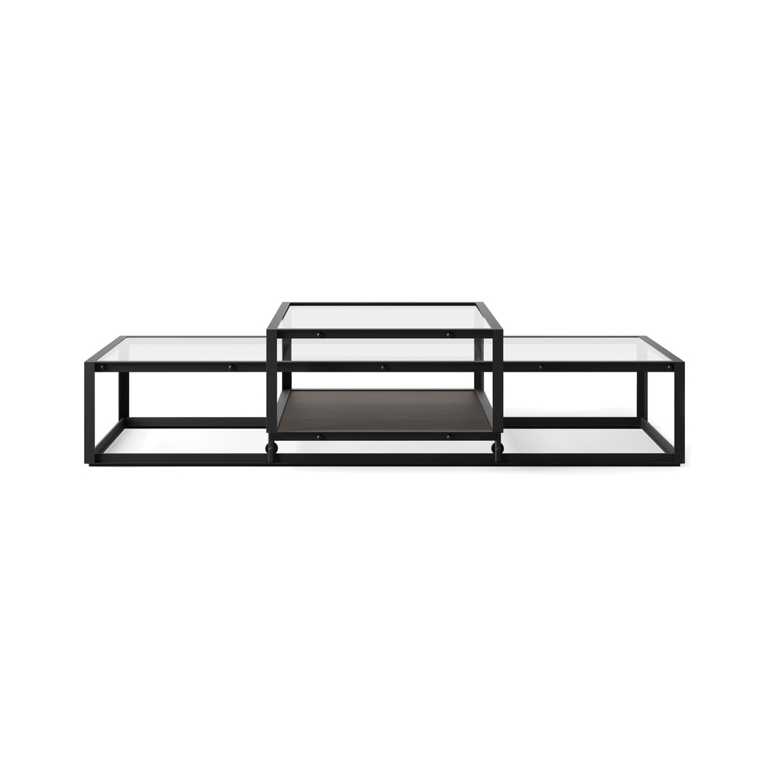 Pastoe Tangled Coffee Table Schwarz (RAL 9005) / Eichenfurnier dunkelbraun, Large