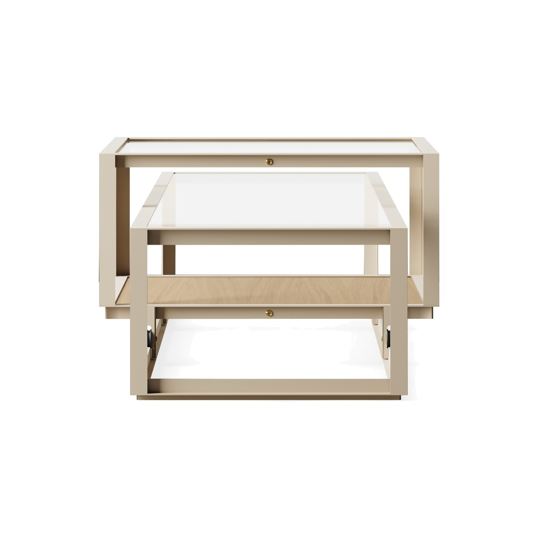 Pastoe Tangled Coffee Table Taupe (RAL 7006) / Eichenfurnier natur, Large