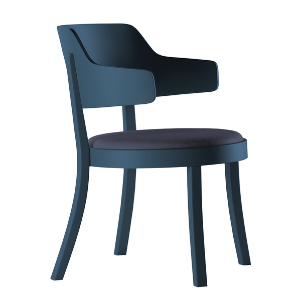 In color: armchair Seley Lounge with seat cushion