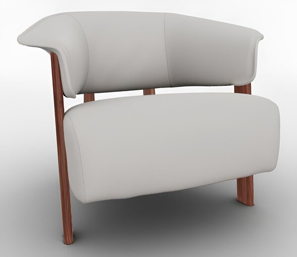 Back-Wing Armchair - Fauteuil