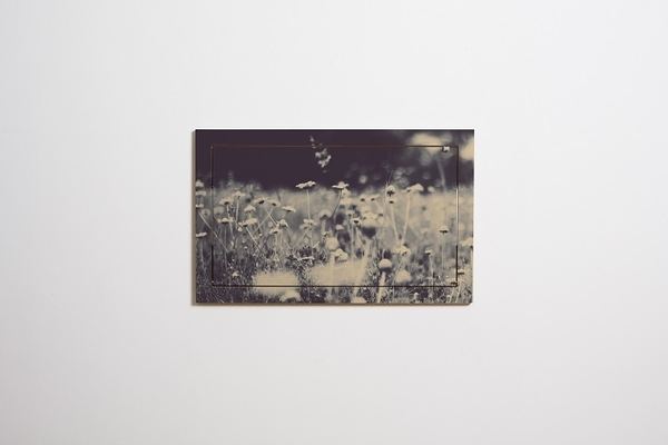 Ambivalence Secrétaire de Fläpp Wild and Free Ingrid Beddoes
