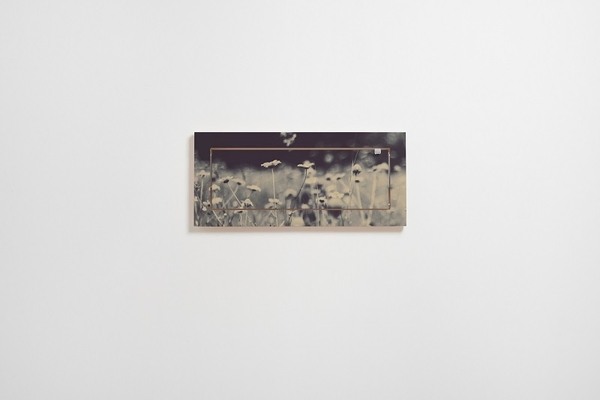 Ambivalence Fläpps Étagère 60×27-1 Wild and Free Ingrid Beddoes