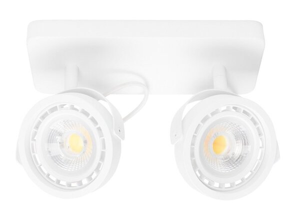 Dice-2 DTW Spot Light