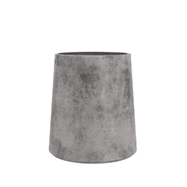 Bulbi Allium Betonvase
