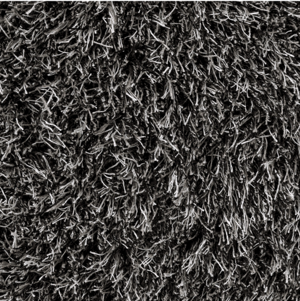 Wild Carpet