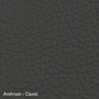 Classicon Sessel 'Euvira' mit Polsterung  Eiche natur,  Filzgleiter,  Anthrazit - Classic
