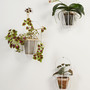 Ok Design Wand-Planzenhalter 'Cibele' 