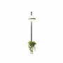 Vibia Wandleuchte 'Palma' Graphit, 1 Leuchtkugel mit Pflanzentopf