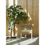 Skagerak Drachmann Chair Teak