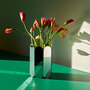 Hay Arcs Vase Mirror