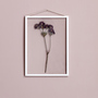 Moebe Rahmen 'Frame' Weiss, A2