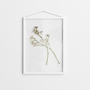 Moebe Rahmen 'Frame' Weiss, A2