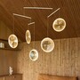 DCWeditions Focus X5 Kronleuchter von DCW Gold-4