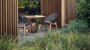 Gloster Bora DINING CHAIR WITH ARMS - Stuhl mit Armlehne