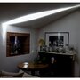 Catellani & Smith Atman Led