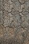 Ethnicraft Triptic Beistelltisch - Minerals - Whisky - Lava