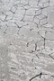Zuiver Yenga Carpet