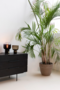 Zuiver Moody Table Lamp - Black
