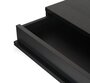 Case Nazanin Kamali for Celine Desk - Black