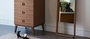 Case Valentine Tallboy