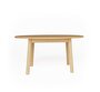 Case Tanso Round Table