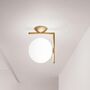 Flos IC C/W1 Wandleuchte / Deckenleuchte