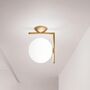 Flos IC C/W2 Wandleuchte / Deckenleuchte