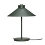 Huebsch Tischlampe Metall grün