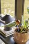 Hubsch Vibe Pots Sand (set of 2)