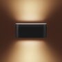 Artemide Two Flags Wall - black