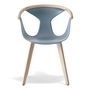 Pedrali Fox 3725-FR-Eschenholz Esche geklält-BL-Polypropylen Blau