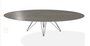 Joli Wire Tisch Oval-Anthrazit-300 x 128 cm-Schwarzes Eisen