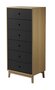 FDB Mobler A87 Butler Dresser Black