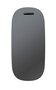 FDB Mobler I4 Birksø - Spiegel - 50 x 110 cm - Eiche schwarz (RAL 9005)