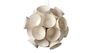 LZF Pendelleuchte Dandelion - American White Wood